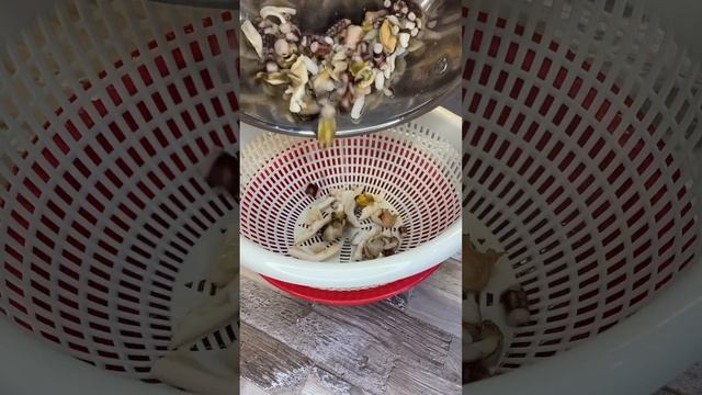 Салат с морепродуктами🦑 На лето-👍