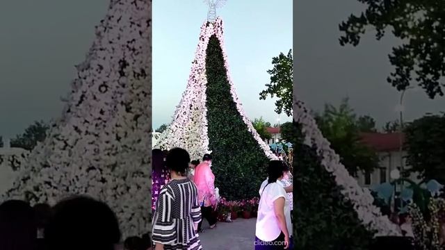 Ташкент. Выставка цветов.