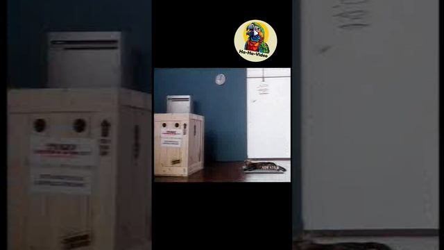 Ретро реклама DHL
