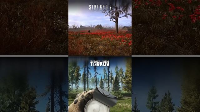 Stalker 2 vs Escape From Tarkov Food and Drinks Comparison