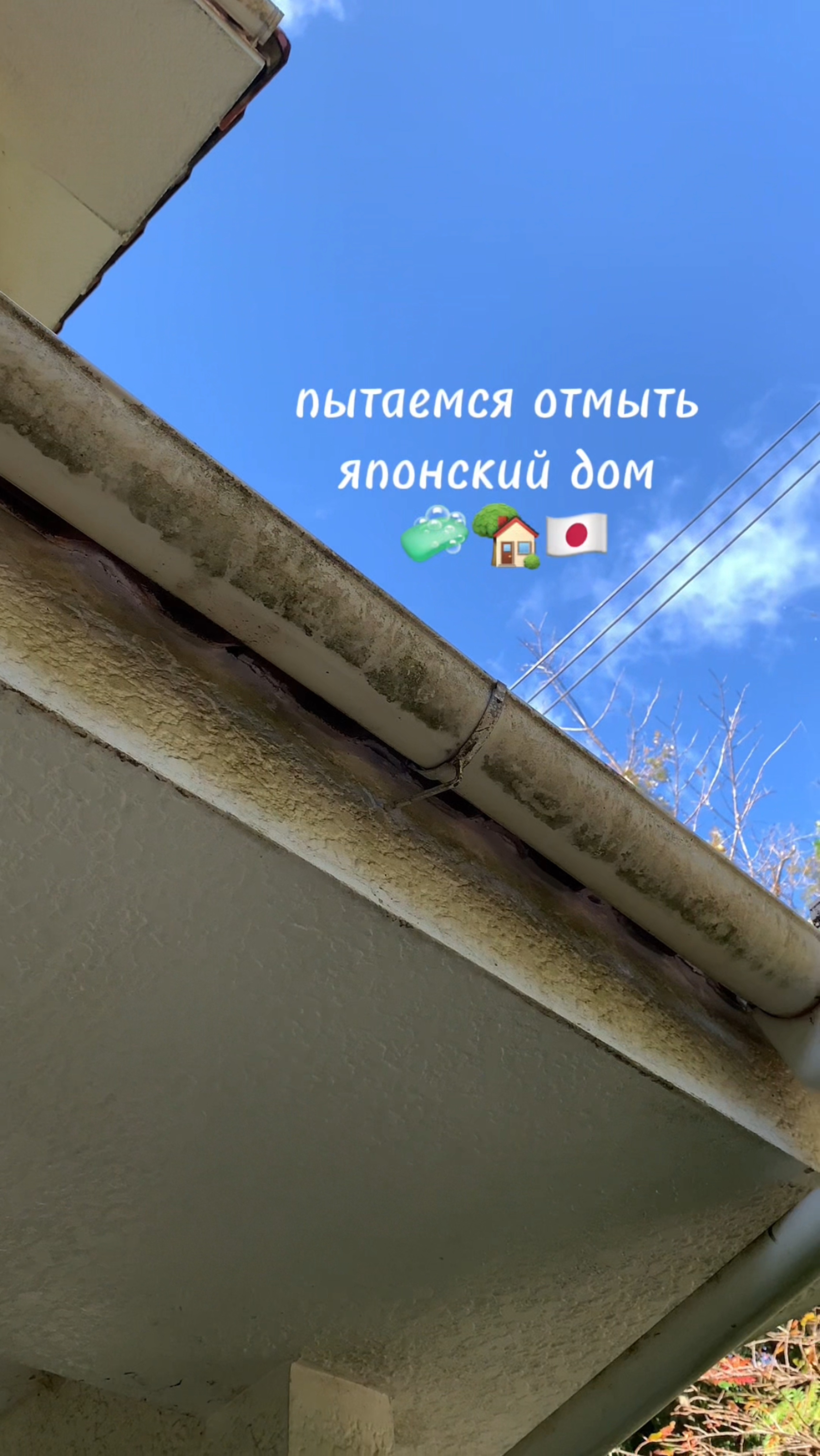 мою крыльцо