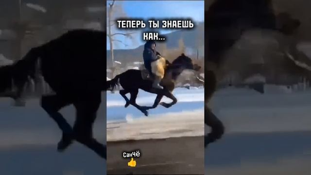 Теперь ты знаешь, как...
