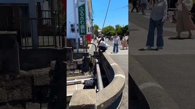 VID_20250105_225545_850.mp4