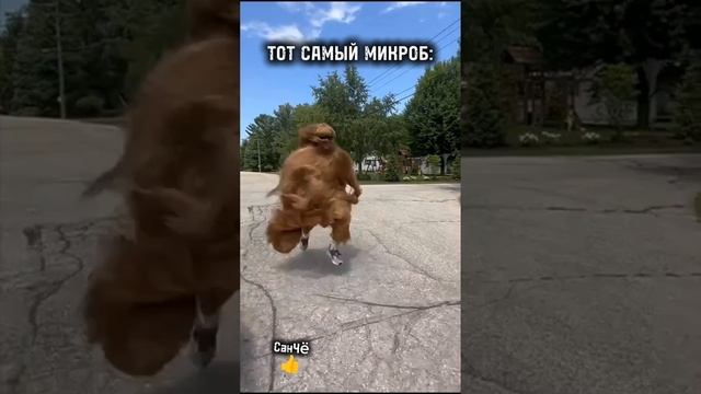 Он почти успел...