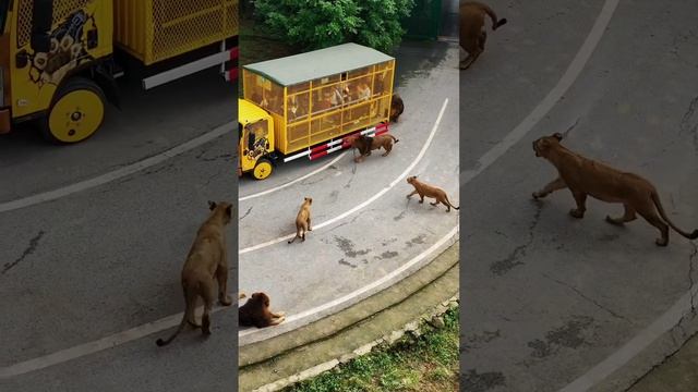 Вот и ужин подъехал 🌎