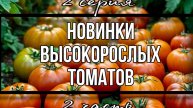 Семена на 2025 год. Высокорослые томаты. НОВИНКИ. Серия 2 Часть 2