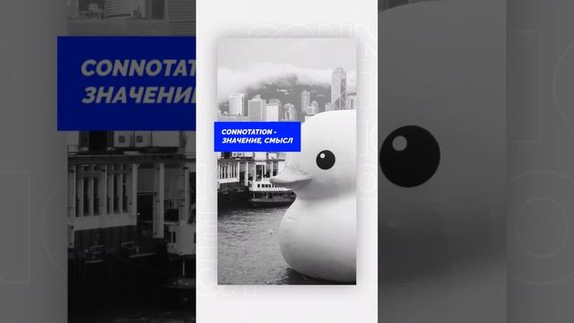 Существительные B2