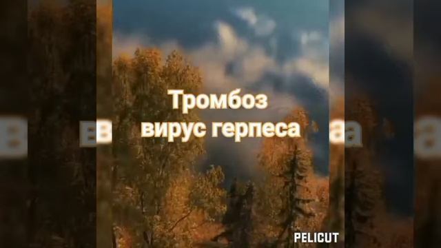1000036669.mp4