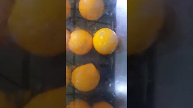 Линия для производства цитрусового сока 200 кг/ч (Китай)