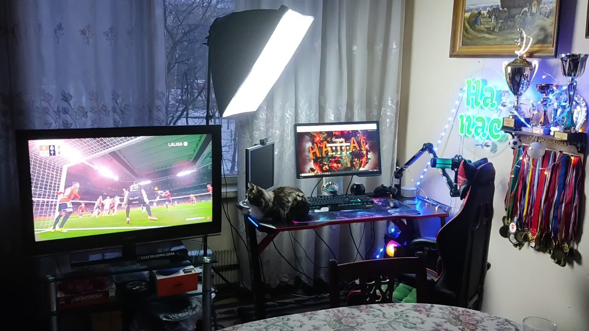 🎄Ёлки - иголки🎄