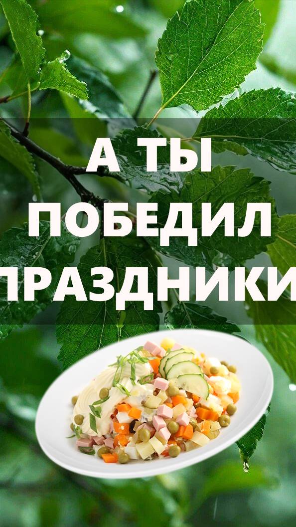 Праздники закончились
