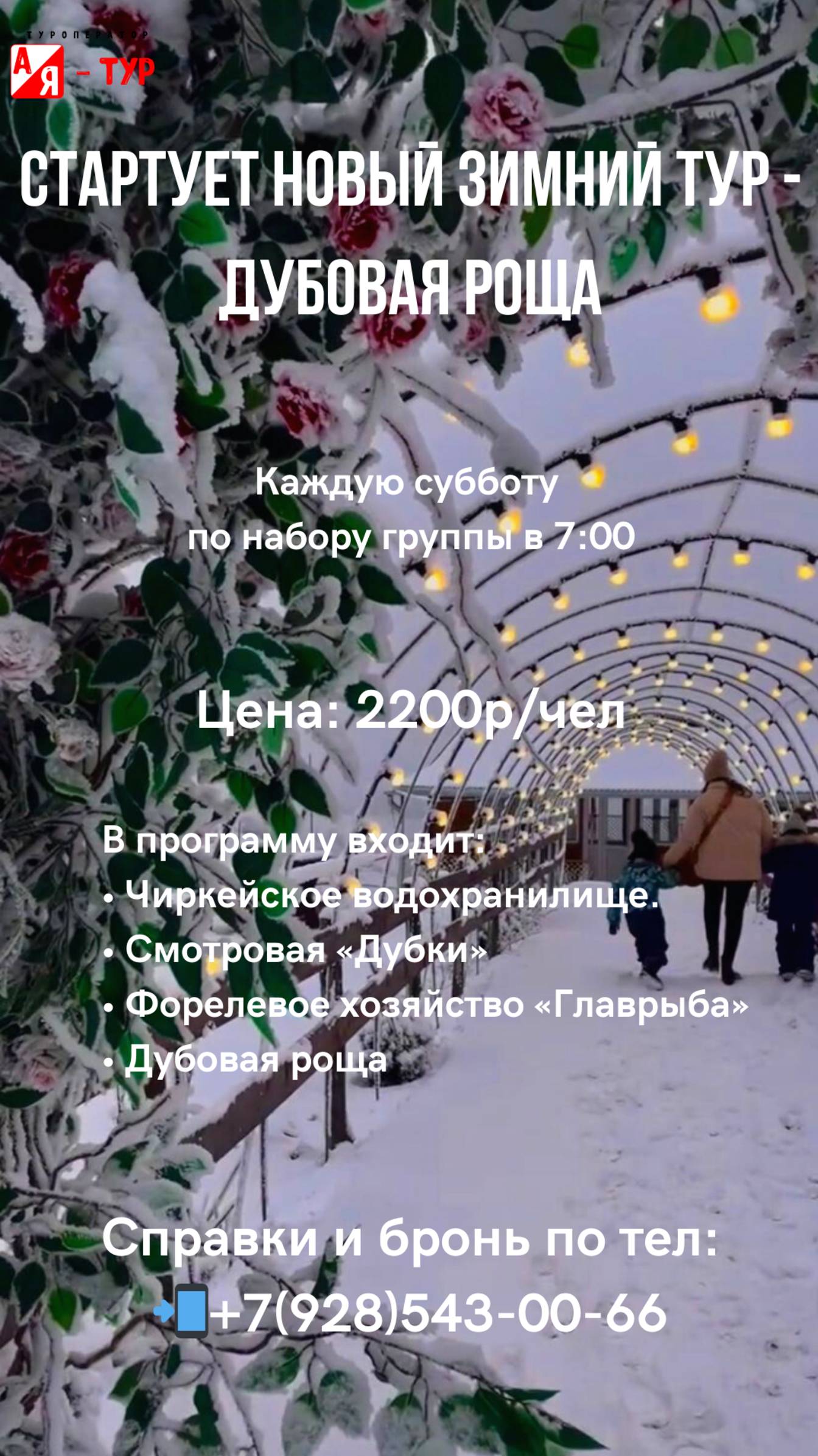 Дубовая роща в Дагестане