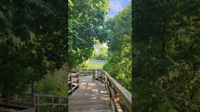 #nature В парке! #природа