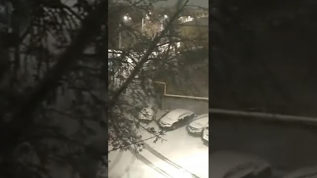 А в Ташкенте снег!)