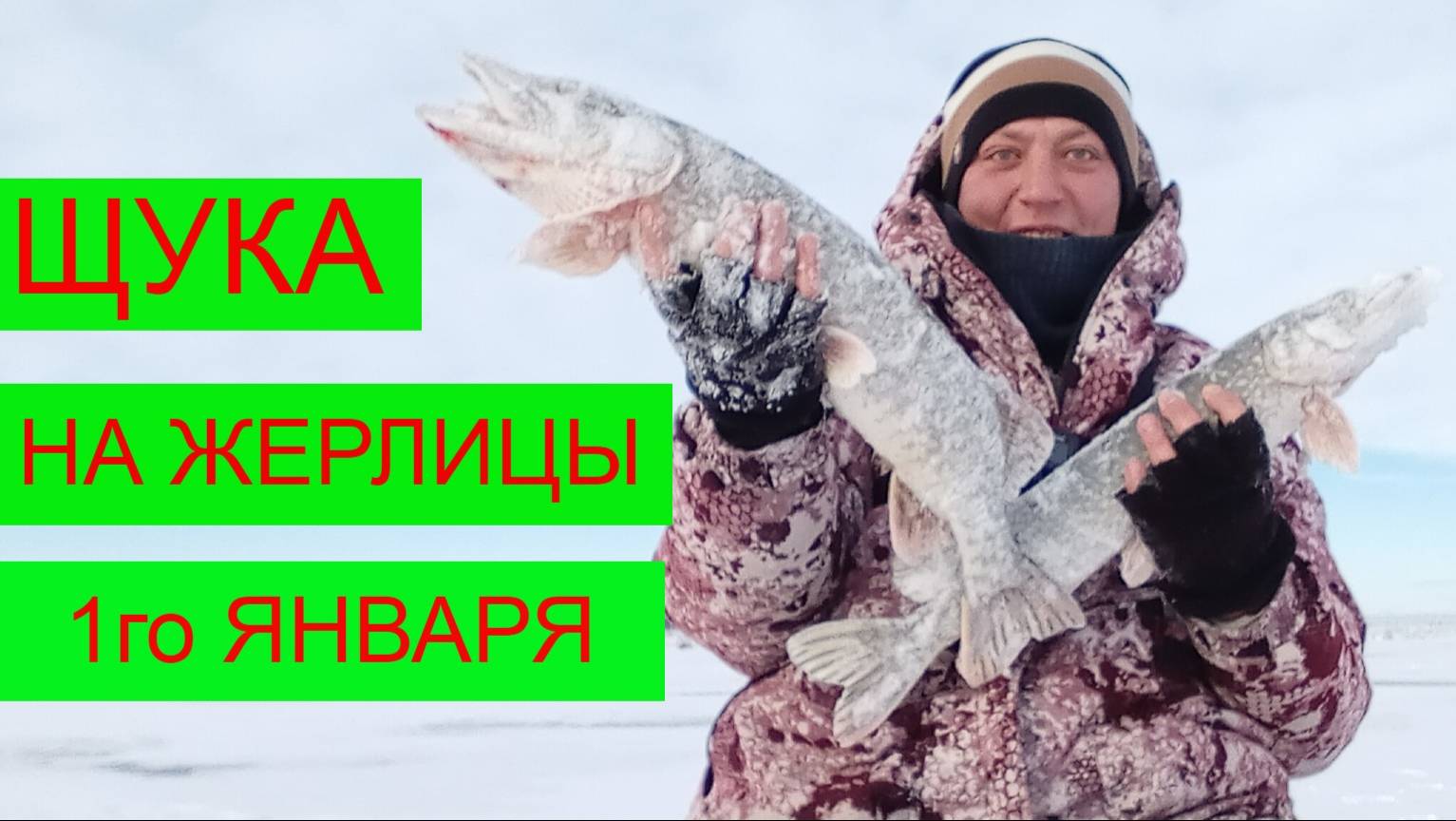 РЫБАЛКА 1го ЯНВАРЯ! ЩУКА НА ЖЕРЛИЦЫ!