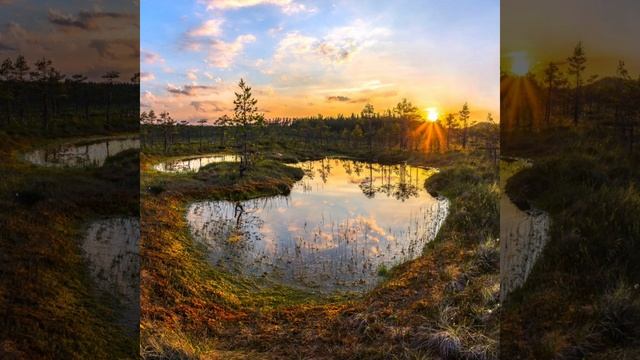 Тайна болотной воды