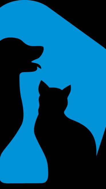 Праздничное угощение любимчика