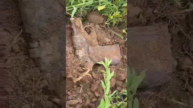Нашел пистолет