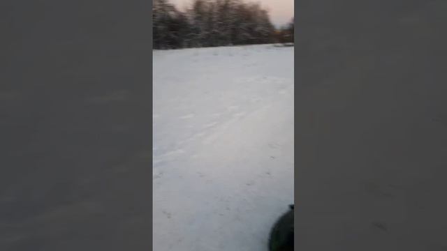 VID-20250105-WA0002.mp4