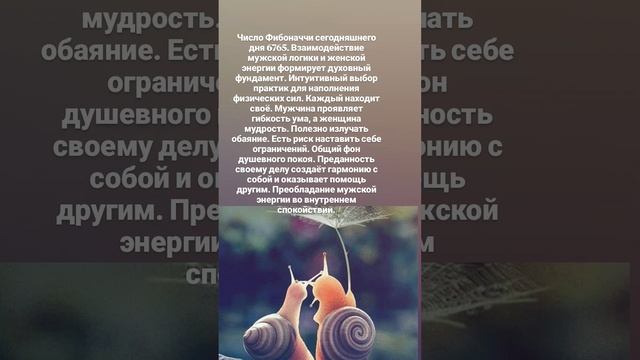 Личная астрологическая консультация в телеграмм.