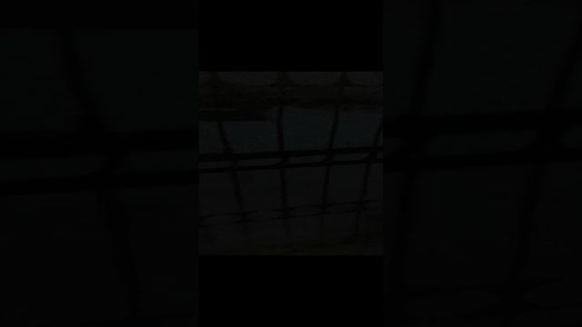 Хожу по полю возвращаюсь домой 2 (короткое неполное видео)