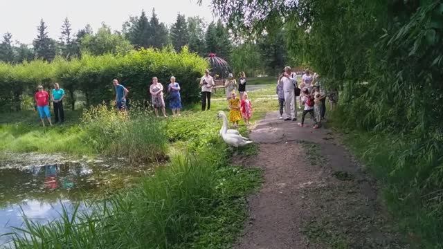 Село родное. Поёт Вергунов