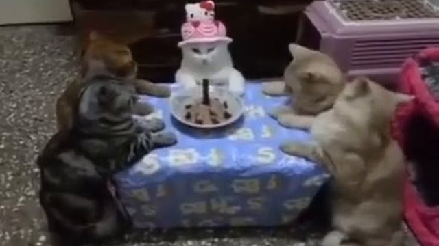 Даже не зовите меня, если ваша вечеринка не похожа на это😂