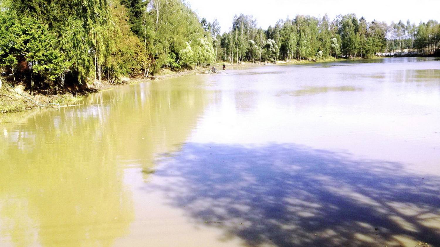 деревня Дедово-Талызино, муниципальный округ Истра, Московская обл. Восстановление обмелевшего пруда