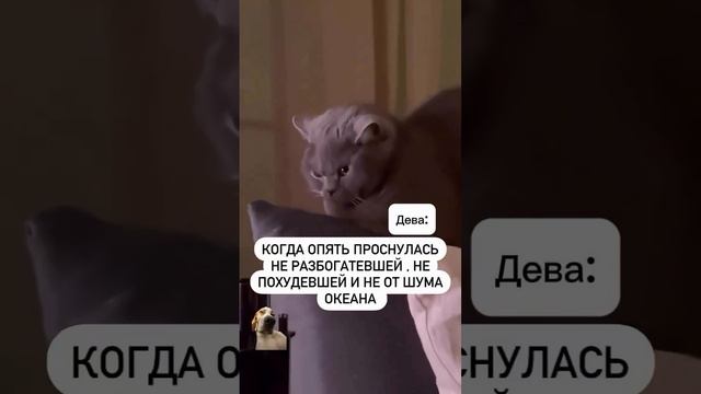 Дева