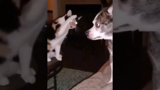 1000070438.mp4