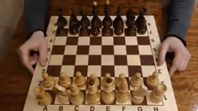 Шахматы. Урок 1 для начинающих. Сергей Алексеев