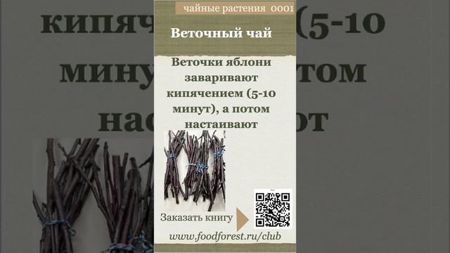 Афанасьев_чайные растения_яблоня