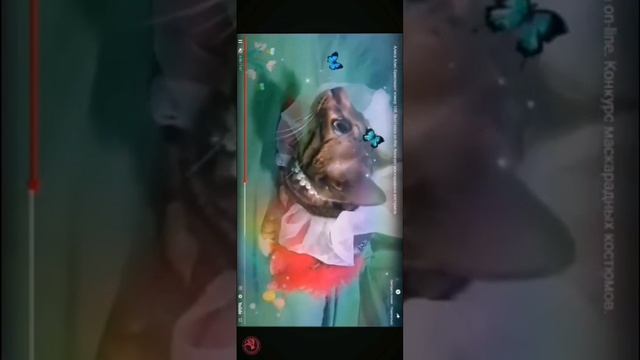 Алиса номер 108