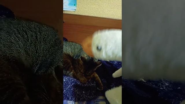 Типичный аэропорт