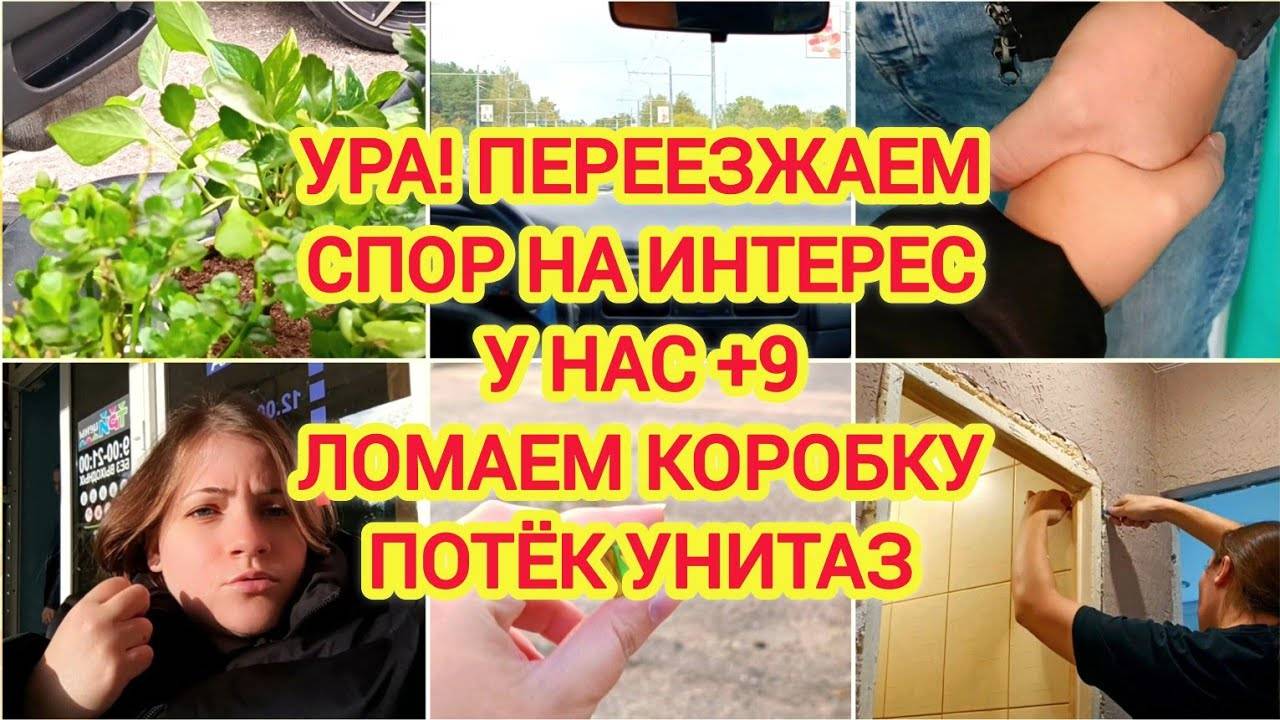 VLOG | УРА! ПЕРЕЕЗЖАЕМ | СПОР НА ИНТЕРЕС | У НАС +9 | ЛОМАЕМ КОРОБКУ | ПОТЁК УНИТАЗ