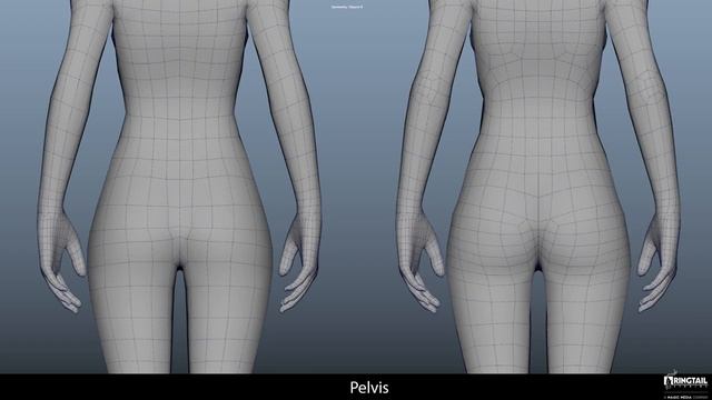 Correct Character Retopology (720p)