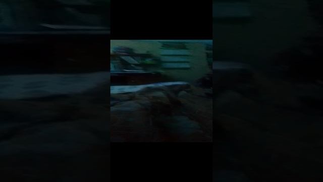 05-01-2025