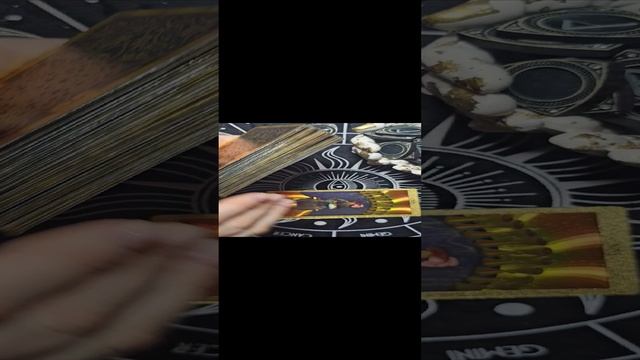 1000056589.mp4
