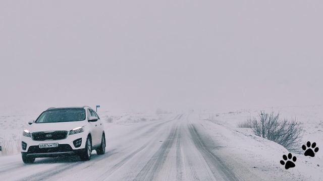 Метель на трасса Каменноозерное - Медногорск. Отрезок Кувандык - Медногорск.