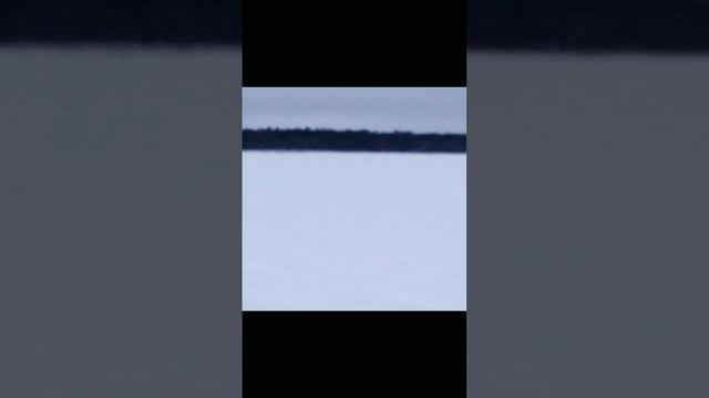 VID_20241229_133739.3gp