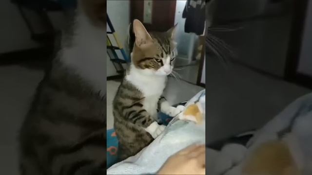 1000070410.mp4
