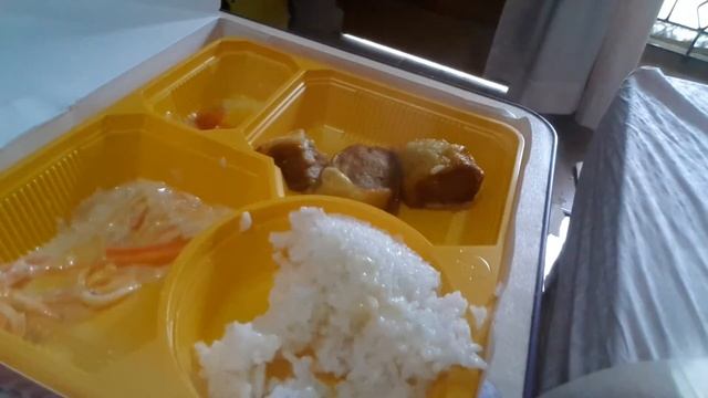 ASMR EATING RICE AND CHIKEN EGG ROLL♡