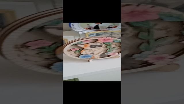 VID_20250105_121440