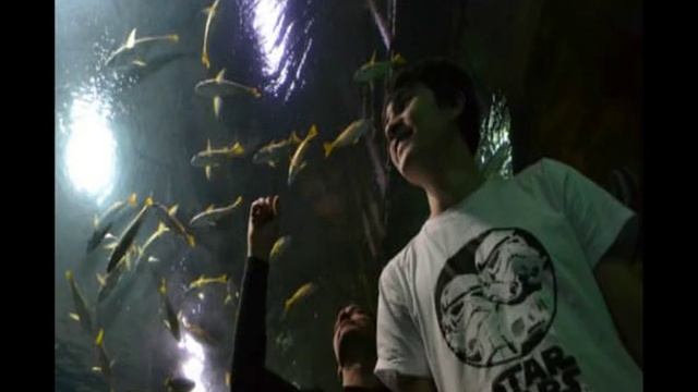 #океанариум #Санкт_Петербург