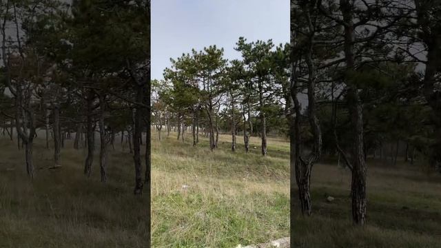 Керчь 7 ветров.
