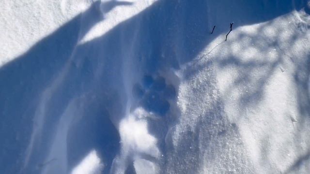 Поездка на Воробей 01.12.24