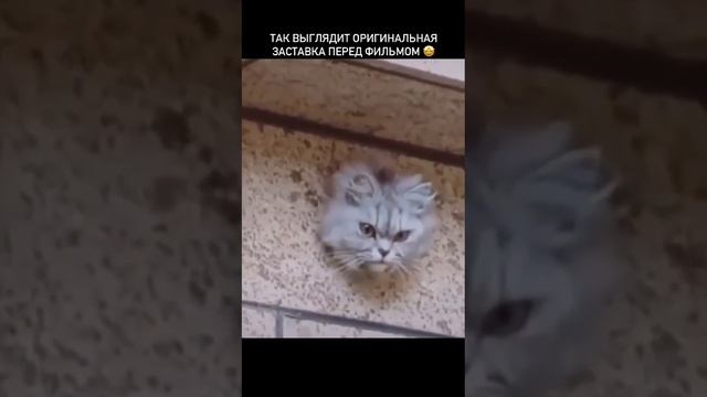 Метро голдвин майер