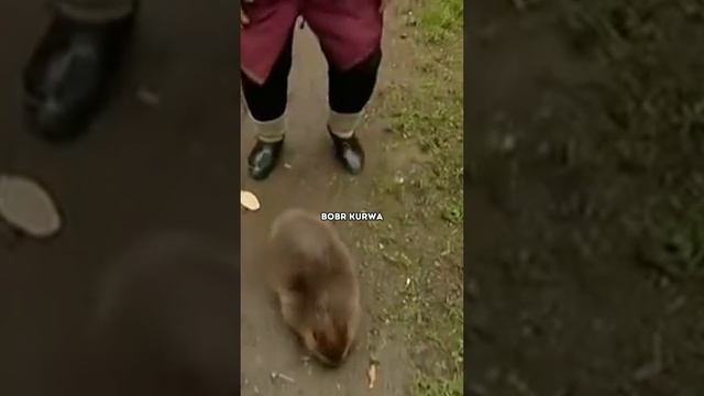 1000002613.mp4