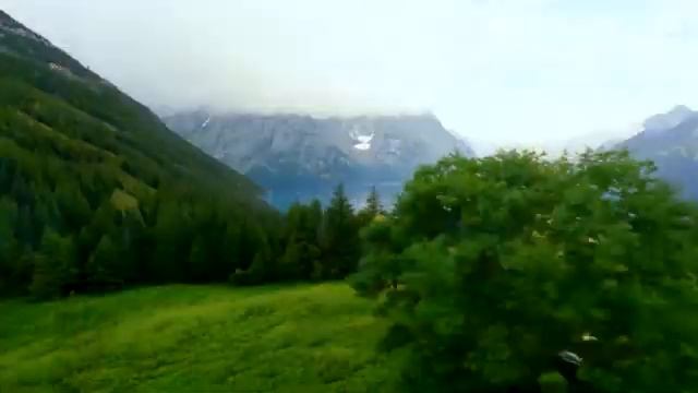 Нежная Музыка Для Сердца 🌿 Успокаивающая Мелодия Для Расслабления, Лучшего Сна И Снятия Стресса #3