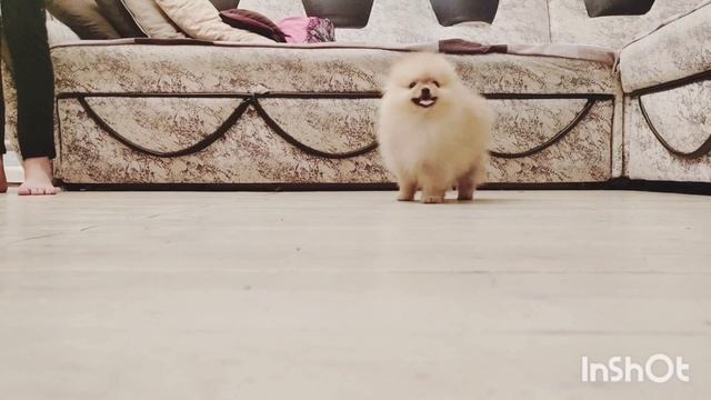 1000024789.mp4